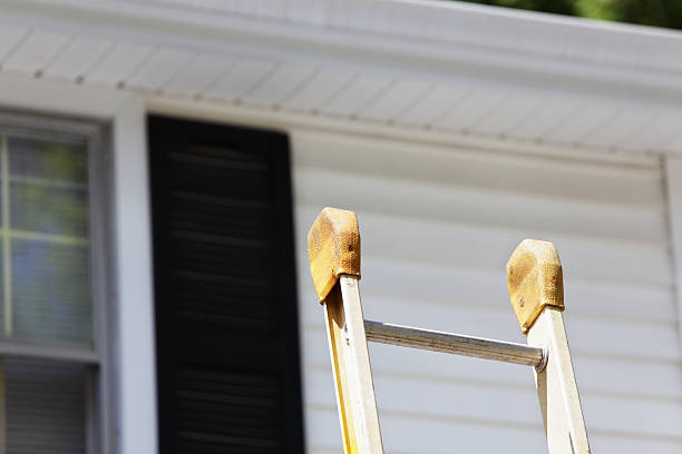 Best Custom Trim and Detailing for Siding  in Ben Wheeler, TX